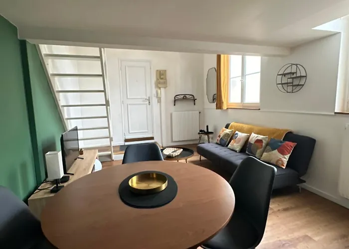 公寓 Charmant Duplex Parking En Option